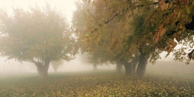 ‘sis’ Tut İlçesinde Kartpostallık Görüntü Ortaya Çikardi