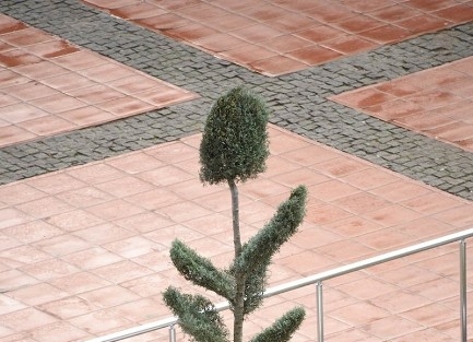 İkiz Durak, Aliağalıların Hizmetine Girdi