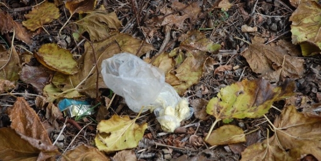 Mezarlığa Yakışmayan Görüntüler