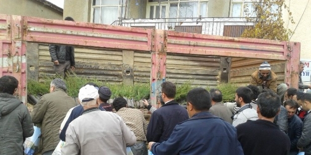 Hüyük’te Vatandaşlara Fidan Dağıtıldı