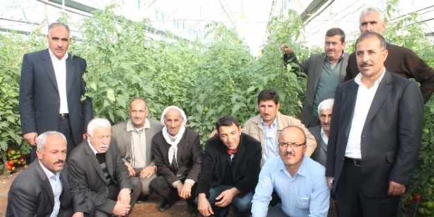 Güneydoğulu Üreticiler Antalya’da Seraları Gezdi