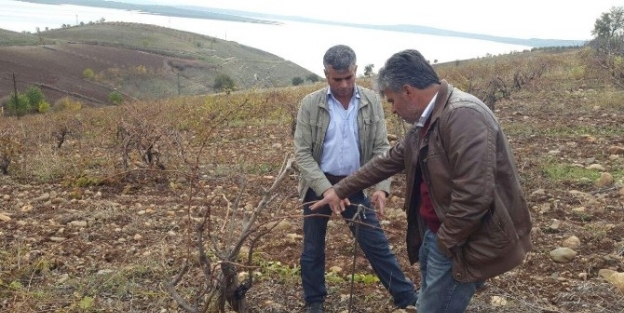 Çiftçilere Gübreleme Ve Sulama Anlatıldı