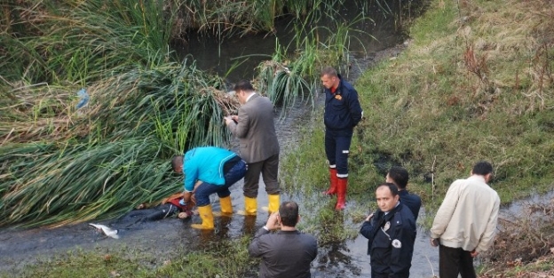 Edremit’te Kimliği Belirsiz Ceset Bulundu