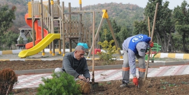 Bozüyük’e 5 Günde Yaklaşık 2 Bin 500 Fidan Dikildi