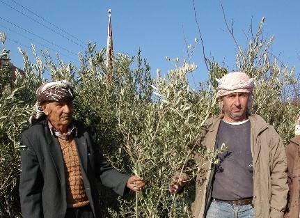 Büyükşehir’den 1 Milyon Fidan