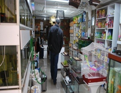 Pet Shop Denetimleri