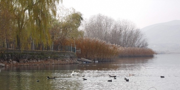 Gölbaşı Tabiat Parkı Sonbaharı Yaşıyor