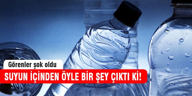 Suyun içinden öyle bir şey çıktı ki...
