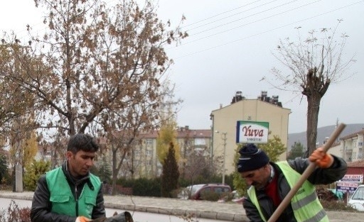 Elazığ Kış Bitkileri İle Güzelleşecek