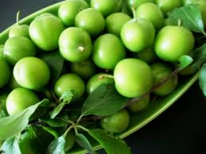 Yeşil eriğin tanesi 5 lira!