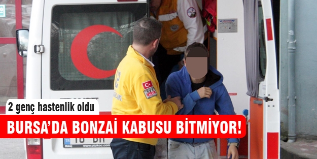 Bursa'da bonzai kabusu