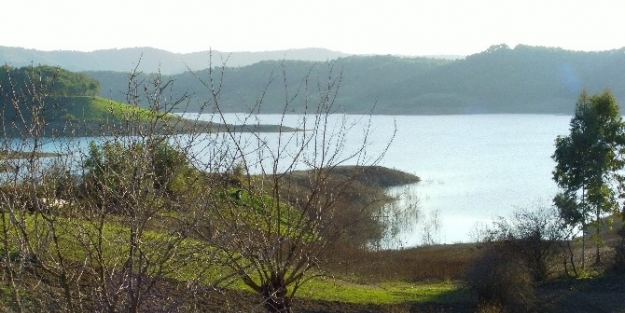 Avcı: “seyhan Bitmiş, Gelin Çatalan’i Kurtaralım”