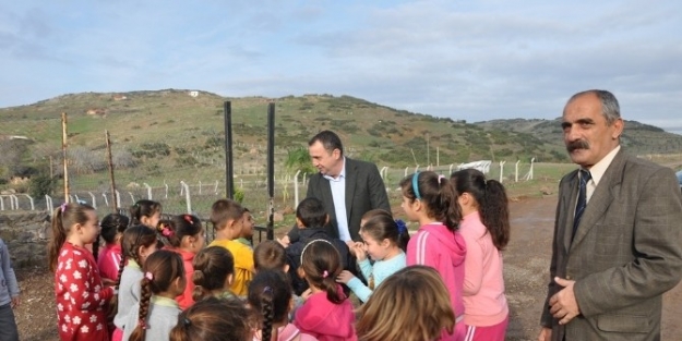 Zeytin Çekirdeklerinin Yeni Hedefi Keman Öğrenmek