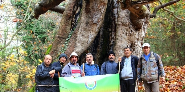 Doğa Severler, Kaz Dağlarındaki Termik Santrale Karşı