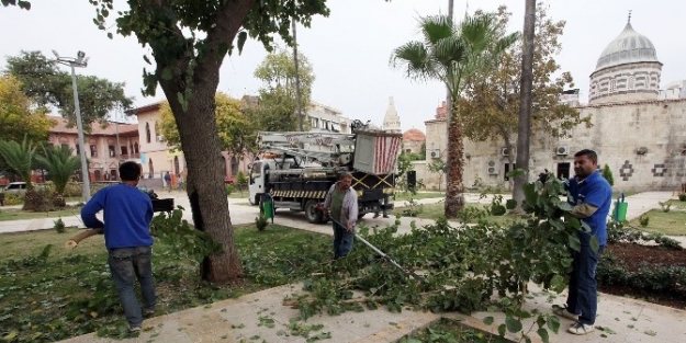 Ziyapaşa Dinlenme Parkı Yeniden Düzenlendi