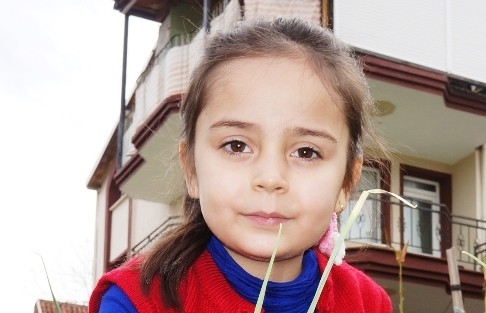 Yalancı Bahara Aldanan Papatyalar Çiçek Açtı