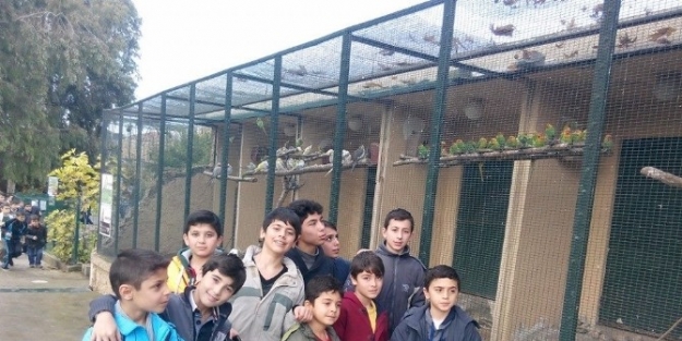 Büyükşehirli Judocular, Hayvanat Bahçesini Gezdi