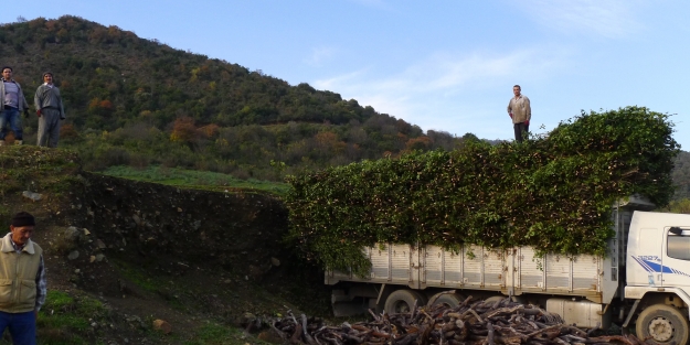 Bursa'dan dünyaya ihraç ediliyor