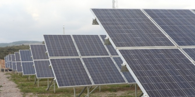 Bornova Belediyesi’nin Enerjisi Güneş’ten