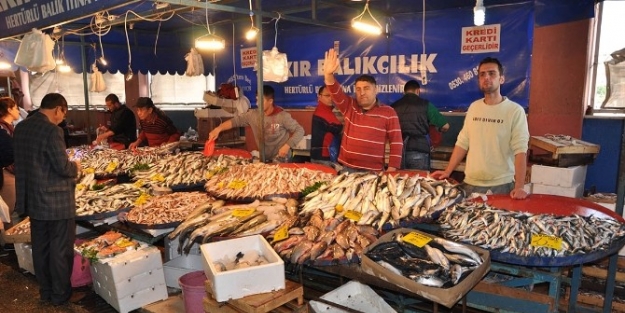 Balıkçılardan Kota Önerisi