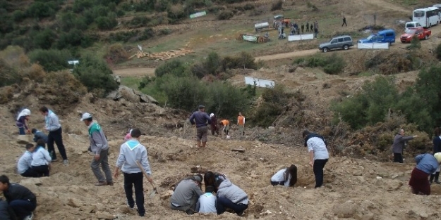 Yenipazar’da 10 Bin Kan Bağışına 10 Bin Fidan