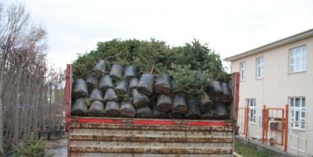 Erzincan’da Kişi Başına 25 Metrekarelik Yeşil Alan Düşüyor