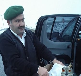 Yaralı Baykuş Koruma Altında