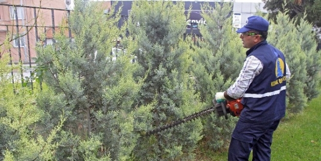 Konak Kışın Da Çiçek Açıyor