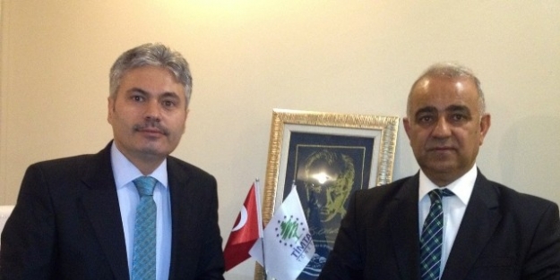 Siteler Profesyonel Ellerde