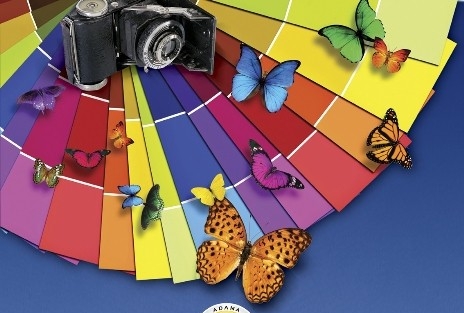 13 Kare Sanat Günleri Adanalılar İle Buluşuyor