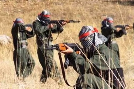 PKK'lılar vatandaşları gasp etti