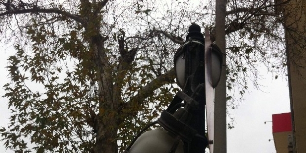 Zarar Gören Lambalar Bakım Bekliyor