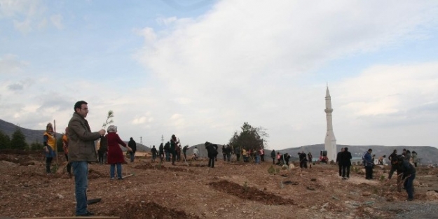 40’ıncı Yıl Ormanı’nda Fidan Dikimine Başlandı