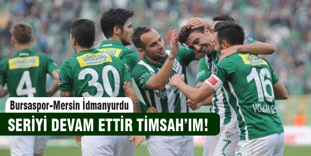 Timsah kupa mesaisinde!