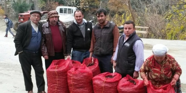 Ödemişli Kestane Üreticisi Mutlu Ama Beklentili