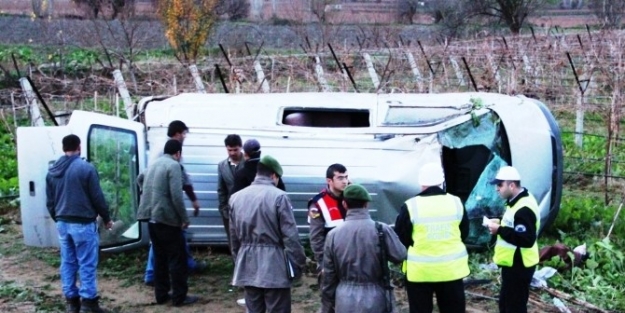 Minibüs Üzüm Bağına Devrildi: Bir Ölü, Üç Yaralı