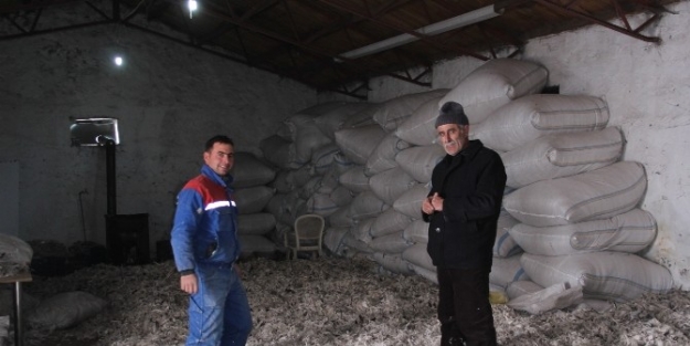 Tüy Entegre Tesisi Çildir’da Hizmete Girdi