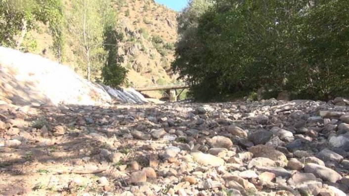 Karadeniz'de içme suyu kaynaklarının ardından dereler de kurumaya başladı