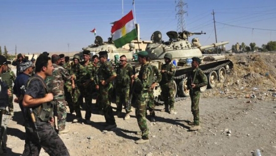 727 peşmerge yaşamını yitirdi