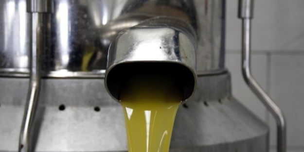 Zeytin Posası İle Karını 2.5 Kat Arttıracaklar