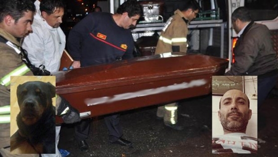 İzmir'de Rottweiler dehşeti