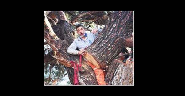Kestiği ağacın gövdesine sıkıştı