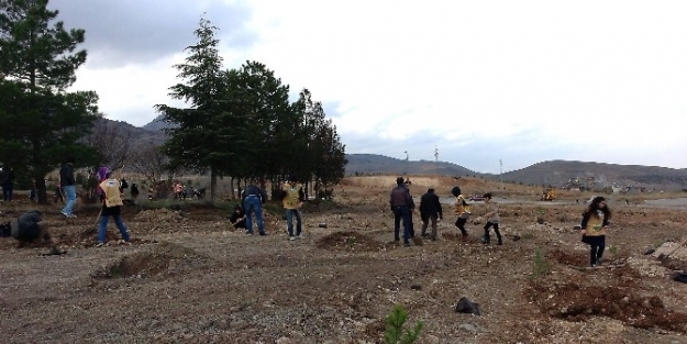 Tema, Kampüste 40 Bin Fidanı Toprakla Buluşturacak