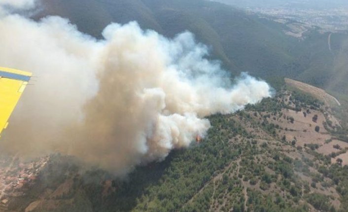 Balıkesir'de orman yangını kontrol altında