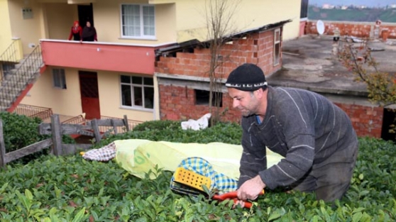 Karadeniz erkeği yük taşımayan kadından şikayetçi
