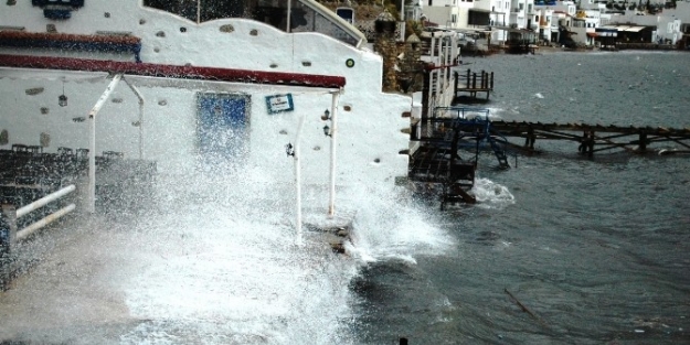 Bodrum’da Fırişka Rüzgarı