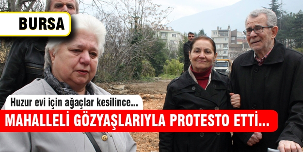 Bursa'daki ağaç katliamına gözyaşlı protesto!