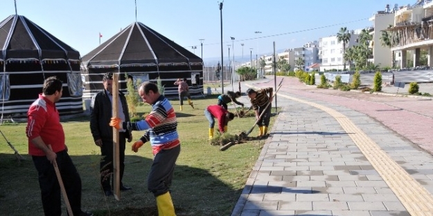 Erdemli’de Yeşillendirme Çalişmalari