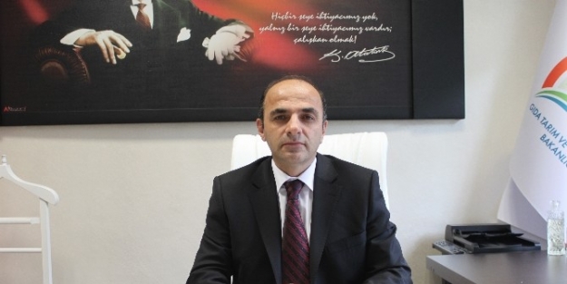 Arıcılara 490 Bin Tl Karşılıksız Destek Verilecek