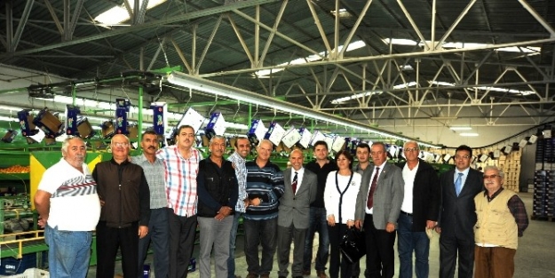 Başkan Soyer’den Mandalina Şenliği Açıklaması